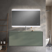 PLUTONE | OLB-PLANT39B-SAL