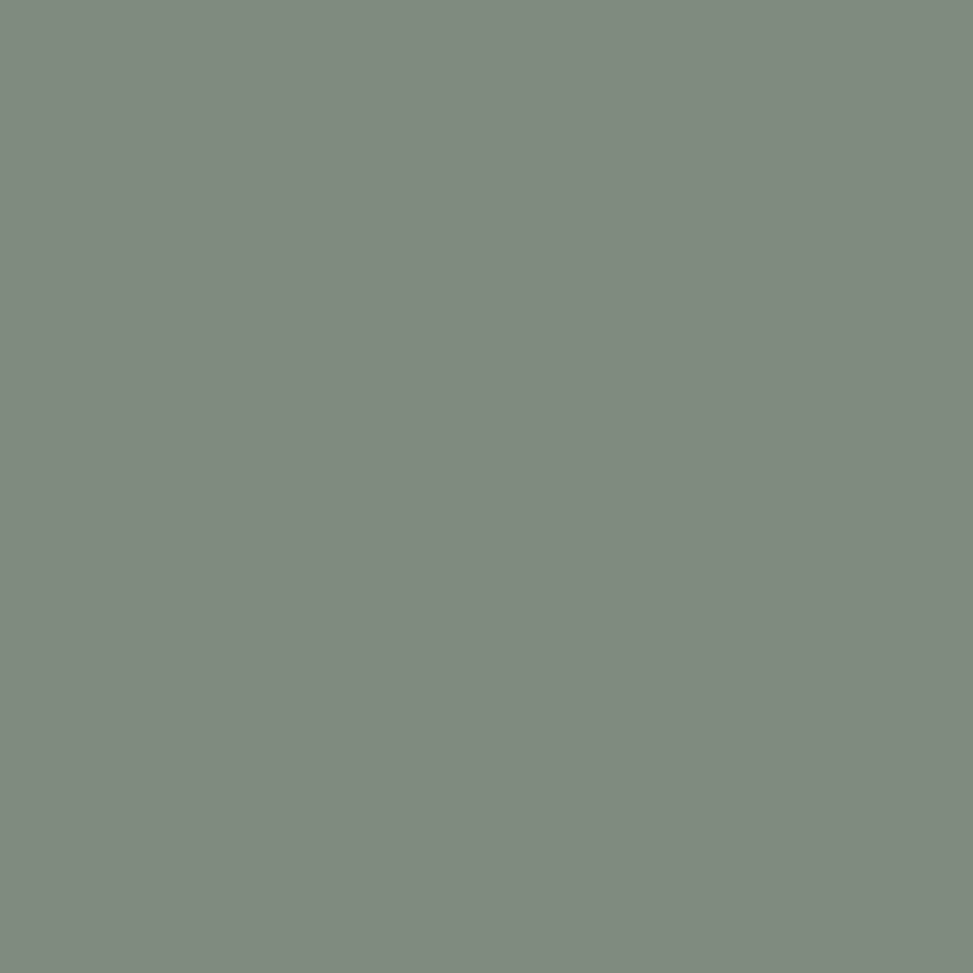 PLUTONE | OLB-PLANT39B-SAL