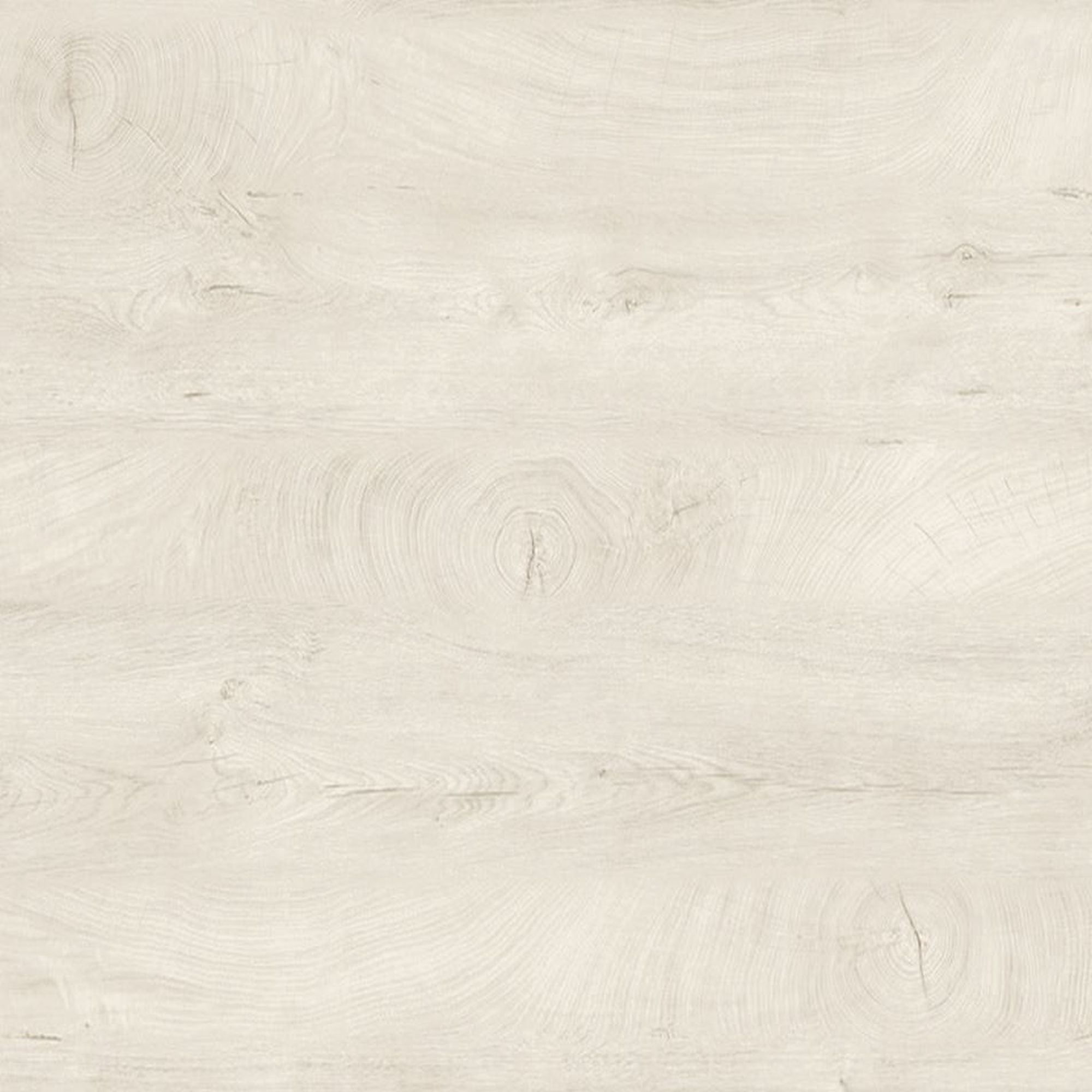 VENERE | OLB-VE107