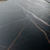 VENERE | OLB-VE101